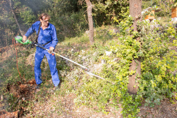 Entretien d'Espaces Verts